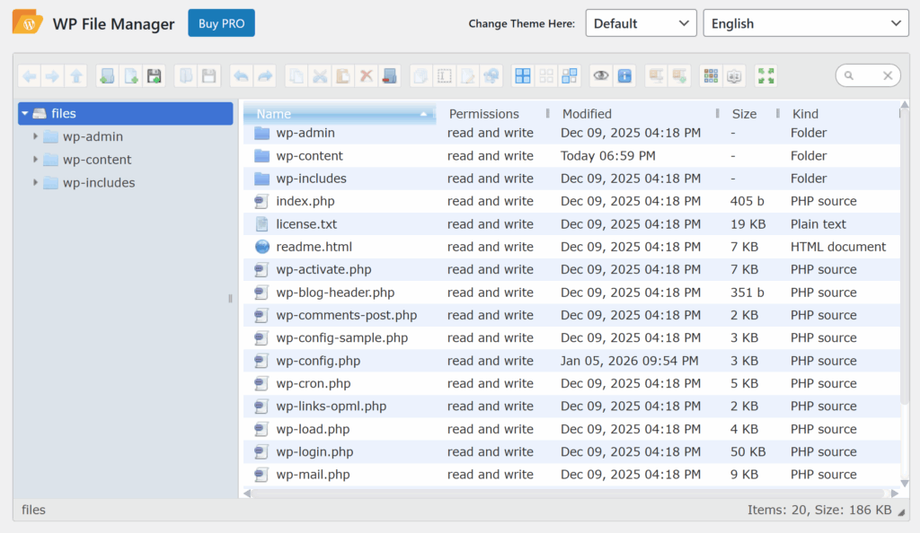 WP File Manager plugin options
