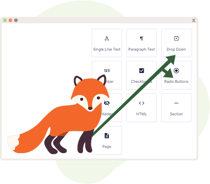 Foxy pointing at both the Drop down and Radio Buttons