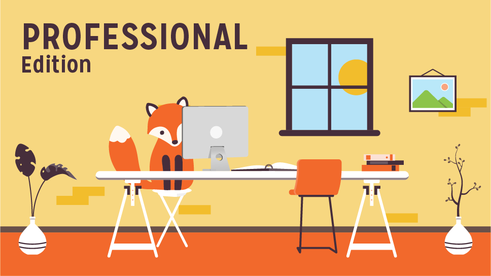 Professional Edition guide; Foxy at a desk, setting the plugin up as the sun beams in through the window.